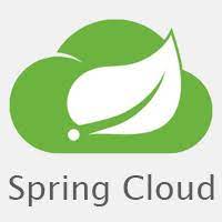 VMware Spring Cloud Java bug gives instant remote code execution – update now!